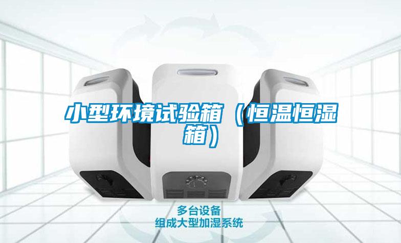 小型環境試驗箱（恒溫恒濕箱）