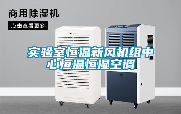 實驗室恒溫新風機組中心恒溫恒濕空調