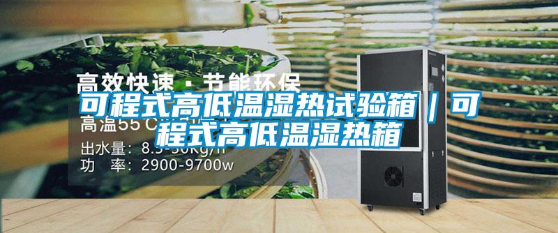 可程式高低溫濕熱試驗箱｜可程式高低溫濕熱箱
