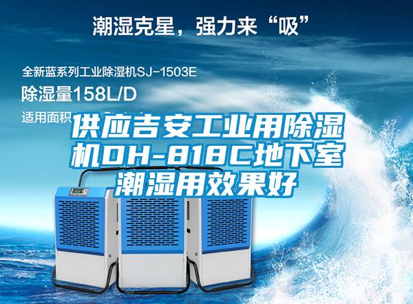 供應吉安工業用除濕機DH-818C地下室潮濕用效果好