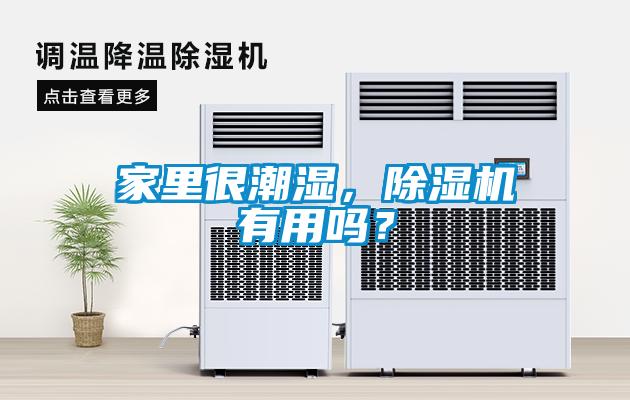 家里很潮濕，除濕機(jī)有用嗎？