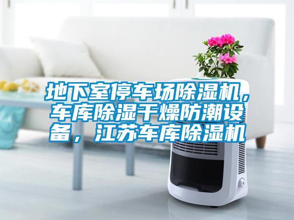 地下室停車場除濕機，車庫除濕干燥防潮設備，江蘇車庫除濕機