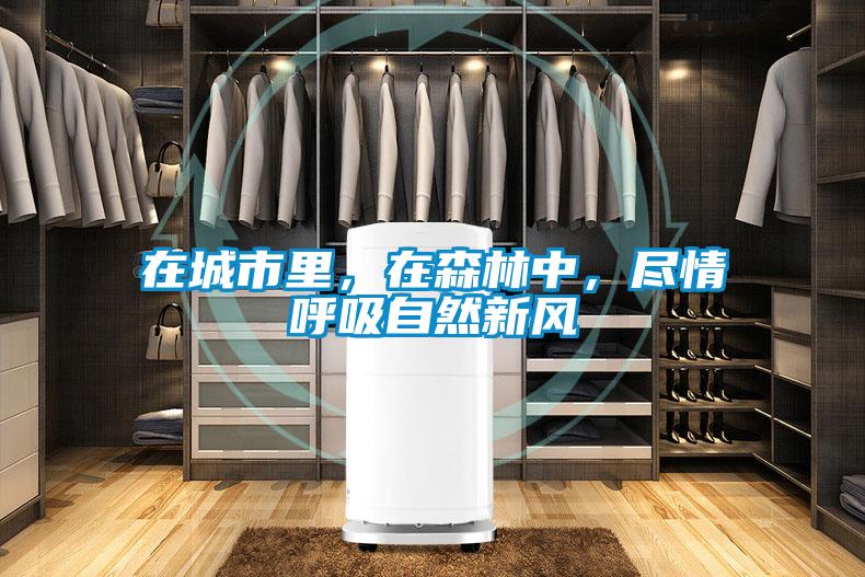 在城市里，在森林中，盡情呼吸自然新風