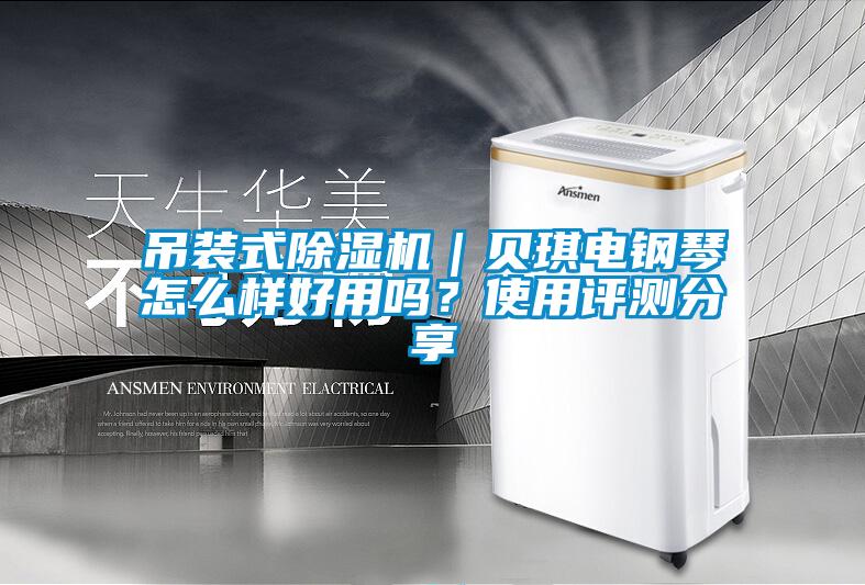 吊裝式除濕機(jī)｜貝琪電鋼琴怎么樣好用嗎？使用評(píng)測(cè)分享