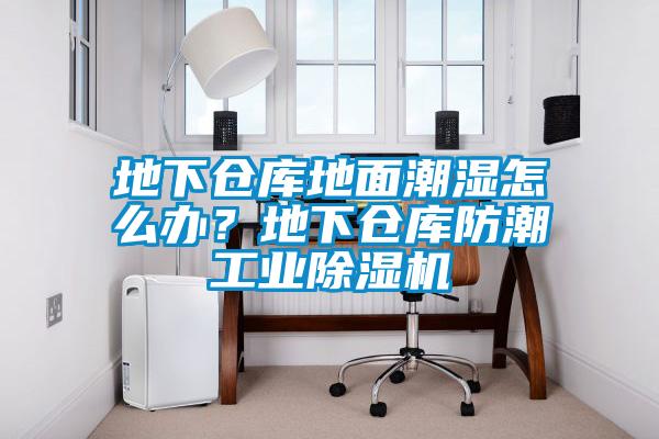 地下倉(cāng)庫(kù)地面潮濕怎么辦？地下倉(cāng)庫(kù)防潮工業(yè)除濕機(jī)