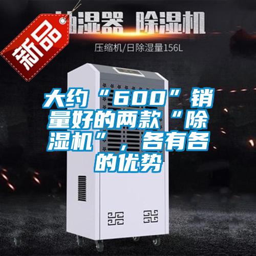 大約“600”銷量好的兩款“除濕機”，各有各的優勢