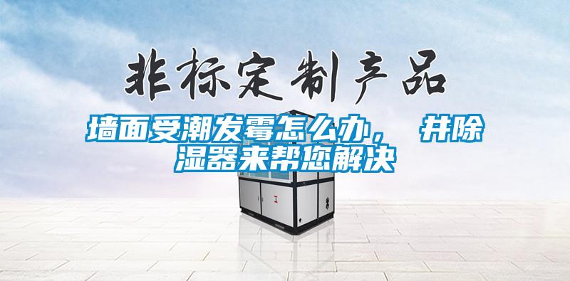 墻面受潮發霉怎么辦，東井除濕器來幫您解決