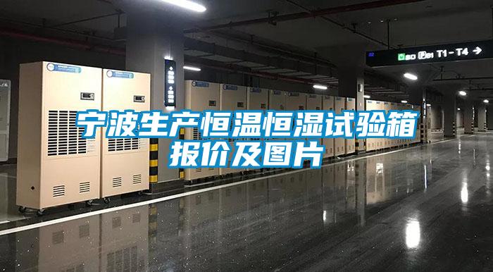 寧波生產恒溫恒濕試驗箱報價及圖片