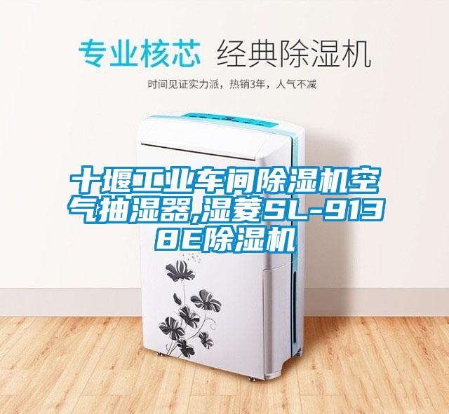 十堰工業車間除濕機空氣抽濕器,濕菱SL-9138E除濕機