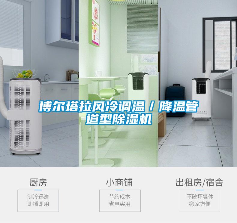 博爾塔拉風冷調(diào)溫／降溫管道型除濕機