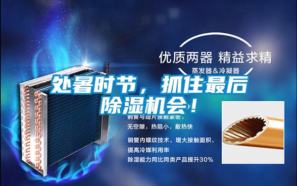 處暑時(shí)節(jié)，抓住最后除濕機(jī)會(huì)！
