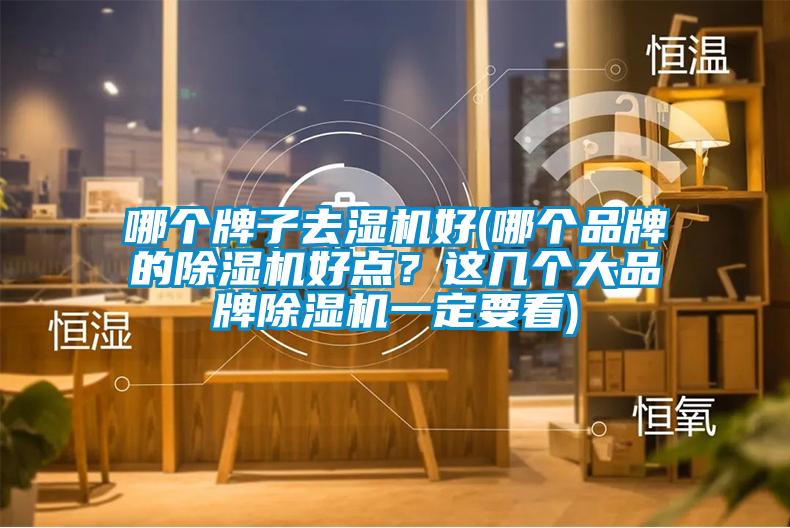 哪個牌子去濕機好(哪個品牌的除濕機好點？這幾個大品牌除濕機一定要看)