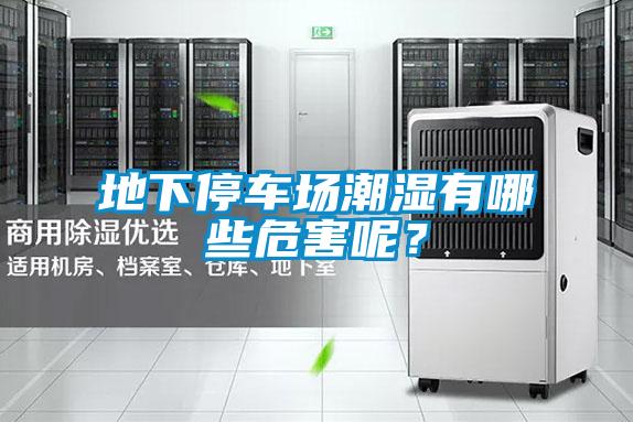 地下停車場潮濕有哪些危害呢？