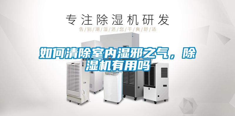 如何清除室內濕邪之氣，除濕機有用嗎