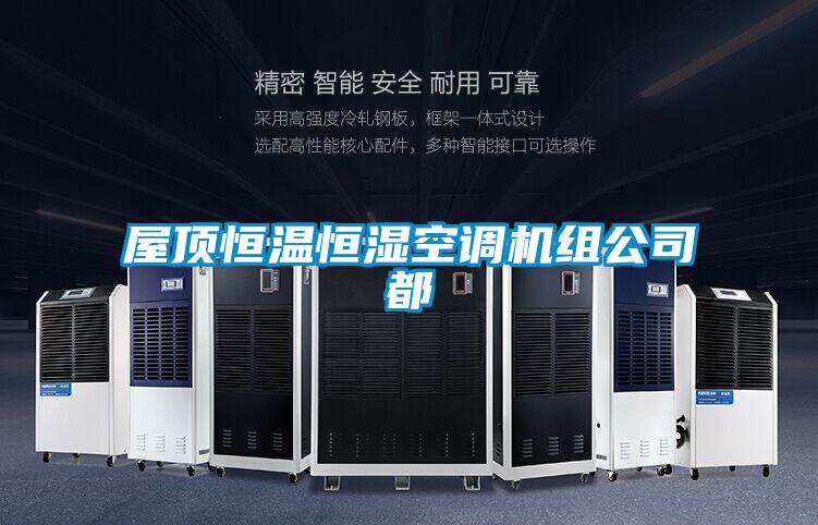 屋頂恒溫恒濕空調機組公司都