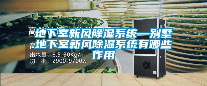 地下室新風除濕系統—別墅地下室新風除濕系統有哪些作用