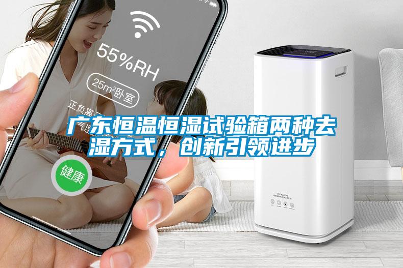 廣東恒溫恒濕試驗箱兩種去濕方式，創新引領進步