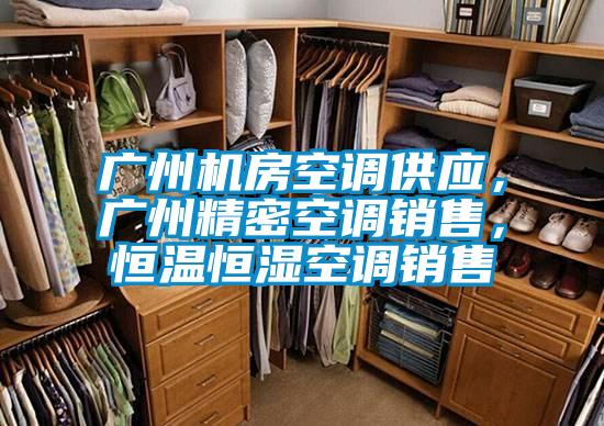 廣州機房空調供應，廣州精密空調銷售，恒溫恒濕空調銷售