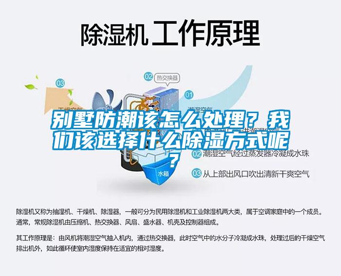 別墅防潮該怎么處理？我們?cè)撨x擇什么除濕方式呢？