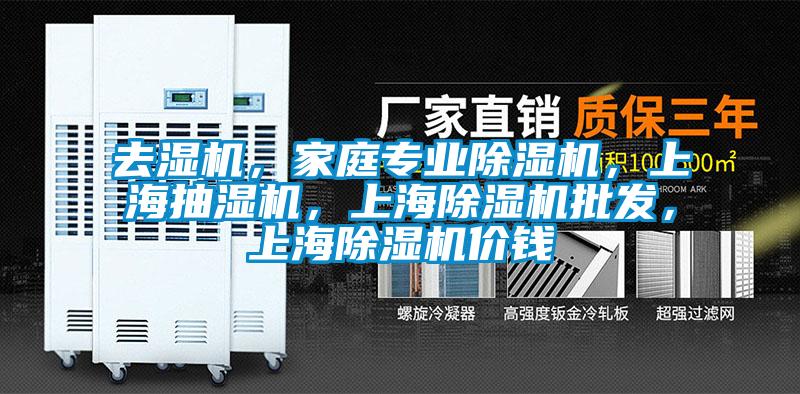去濕機，家庭專業除濕機，上海抽濕機，上海除濕機批發，上海除濕機價錢