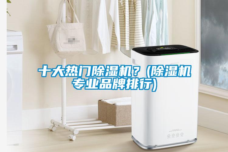 十大熱門除濕機？(除濕機專業品牌排行)