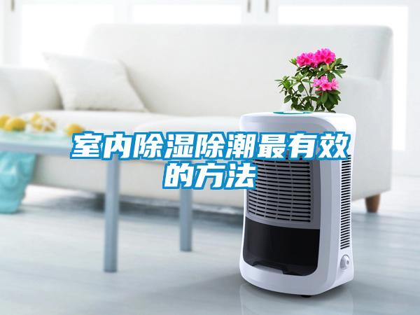 室內除濕除潮最有效的方法