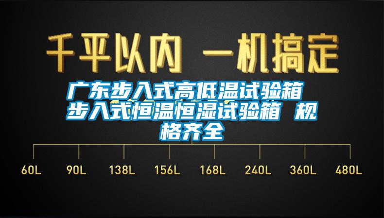 廣東步入式高低溫試驗箱 步入式恒溫恒濕試驗箱 規格齊全