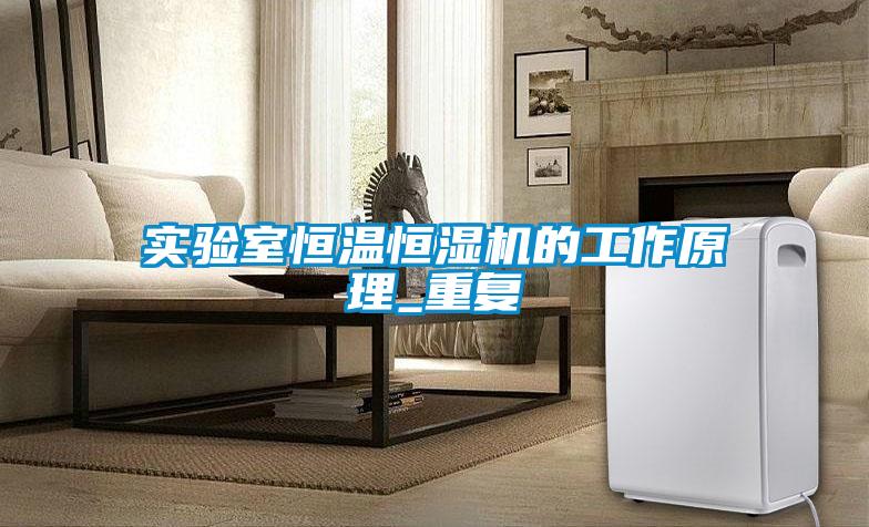 實驗室恒溫恒濕機的工作原理_重復(fù)