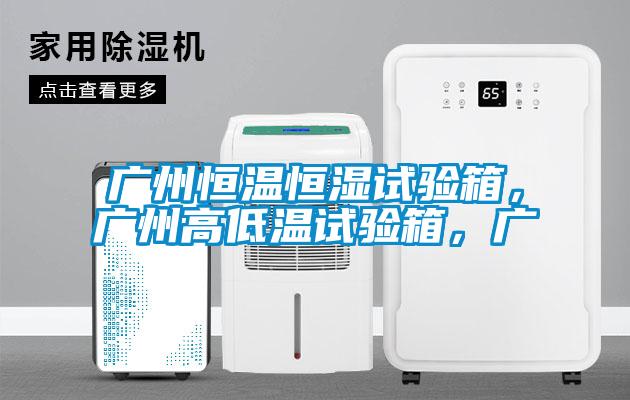 廣州恒溫恒濕試驗箱，廣州高低溫試驗箱，廣