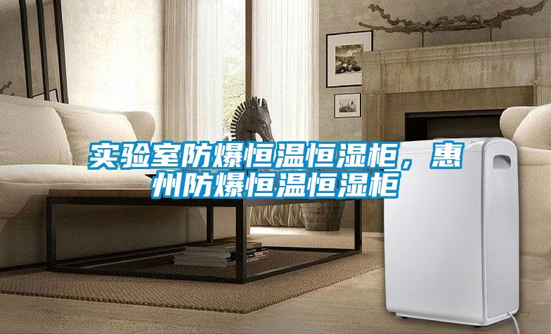 實驗室防爆恒溫恒濕柜，惠州防爆恒溫恒濕柜