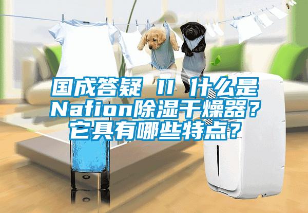 國成答疑 II 什么是Nafion除濕干燥器？它具有哪些特點？