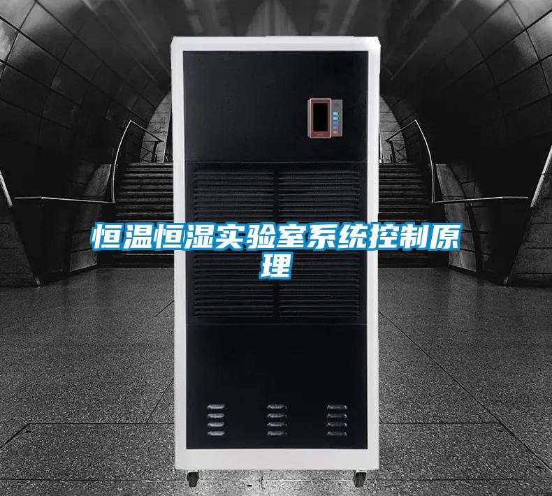 恒溫恒濕實驗室系統控制原理