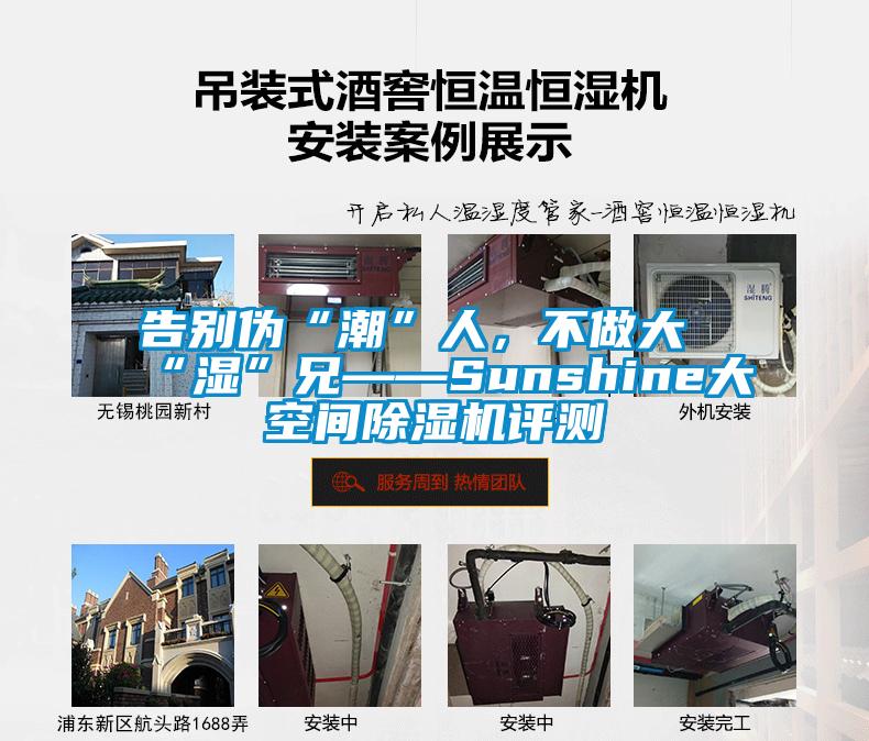 告別偽“潮”人，不做大“濕”兄——Sunshine大空間除濕機(jī)評測