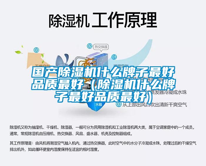 國產除濕機什么牌子最好品質最好（除濕機什么牌子最好品質最好）