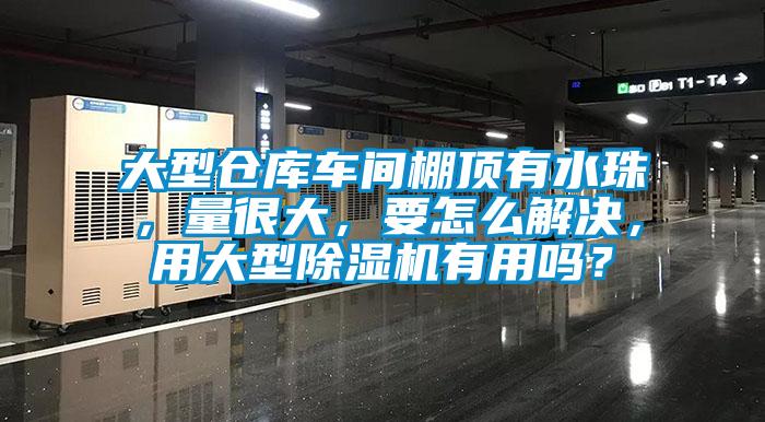 大型倉庫車間棚頂有水珠，量很大，要怎么解決，用大型除濕機有用嗎？