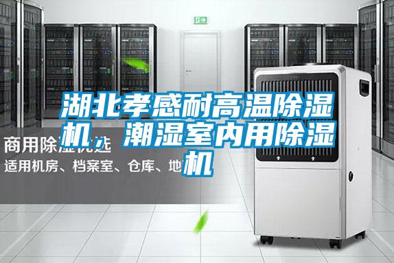 湖北孝感耐高溫除濕機(jī)，潮濕室內(nèi)用除濕機(jī)
