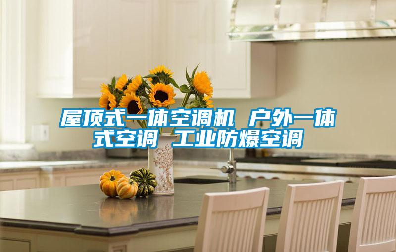屋頂式一體空調(diào)機 戶外一體式空調(diào) 工業(yè)防爆空調(diào)