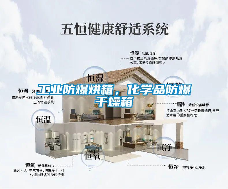 工業防爆烘箱，化學品防爆干燥箱