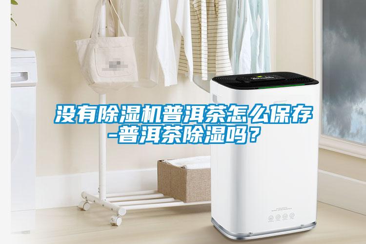 沒有除濕機普洱茶怎么保存-普洱茶除濕嗎？