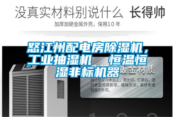 怒江州配電房除濕機，工業抽濕機  恒溫恒濕非標機器