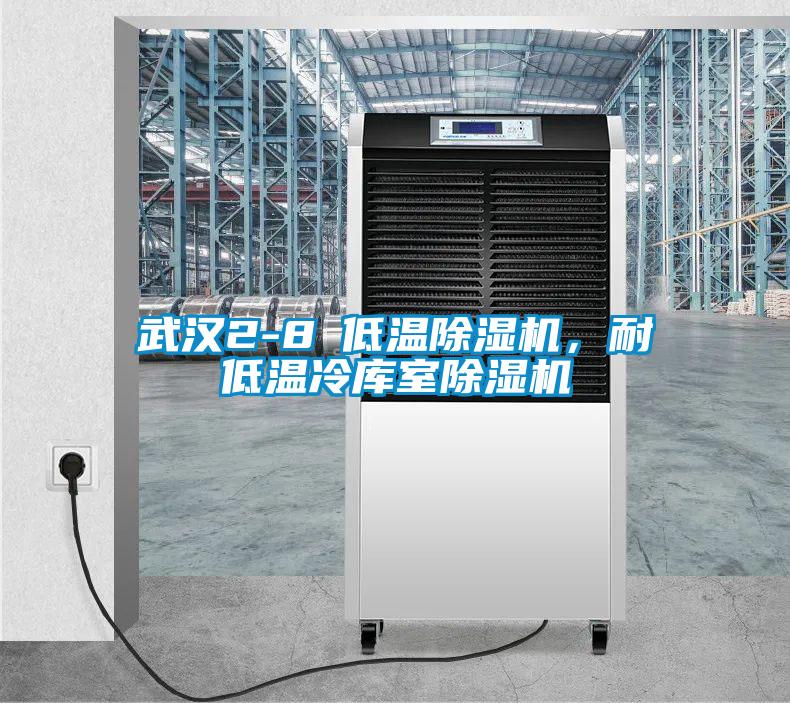 武漢2-8℃低溫除濕機，耐低溫冷庫室除濕機