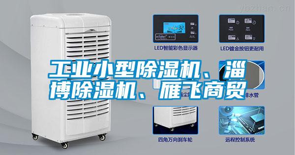 工業小型除濕機、淄博除濕機、雁飛商貿