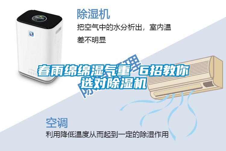 春雨綿綿濕氣重 6招教你選對(duì)除濕機(jī)