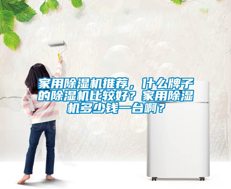 家用除濕機(jī)推薦，什么牌子的除濕機(jī)比較好？家用除濕機(jī)多少錢一臺(tái)啊？