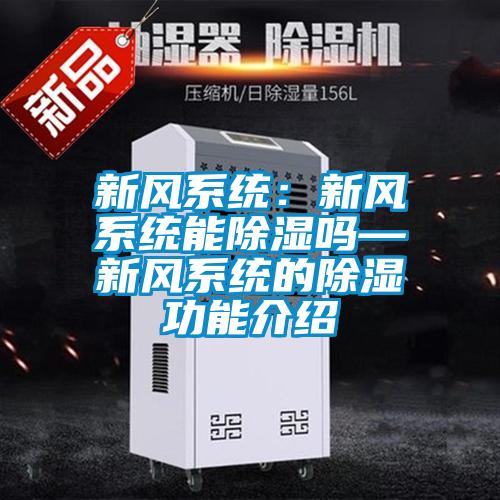 新風系統：新風系統能除濕嗎—新風系統的除濕功能介紹