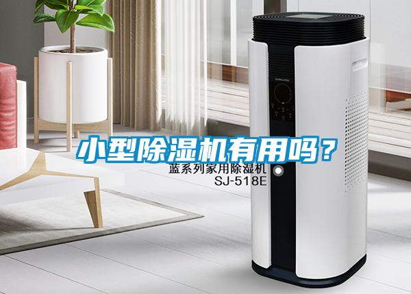 小型除濕機有用嗎？