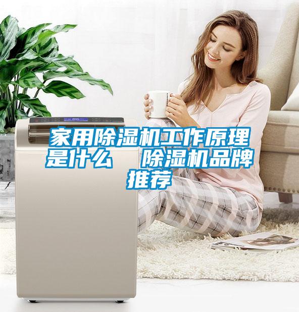 家用除濕機工作原理是什么  除濕機品牌推薦