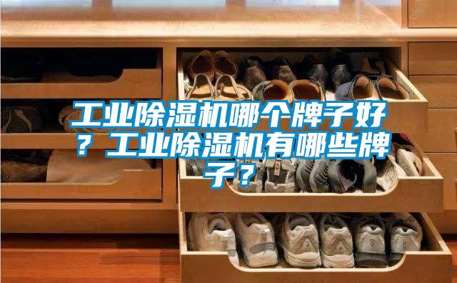 工業(yè)除濕機(jī)哪個(gè)牌子好？工業(yè)除濕機(jī)有哪些牌子？
