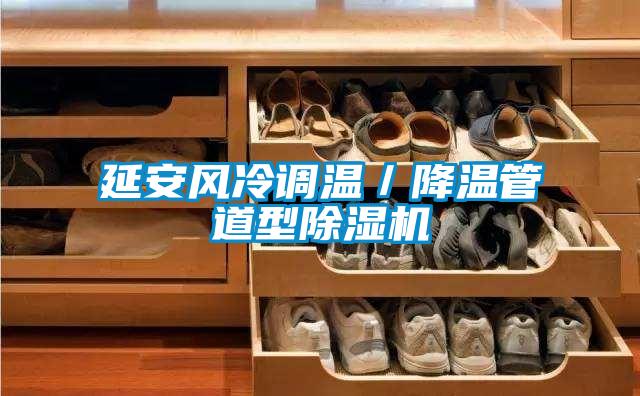 延安風冷調溫／降溫管道型除濕機