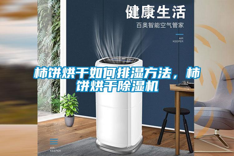 柿餅烘干如何排濕方法，柿餅烘干除濕機(jī)